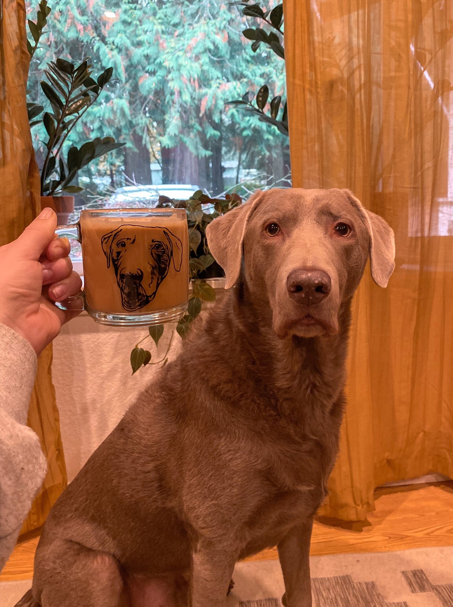 Personalized Pet Portrait Clear Glass Coffee Mug